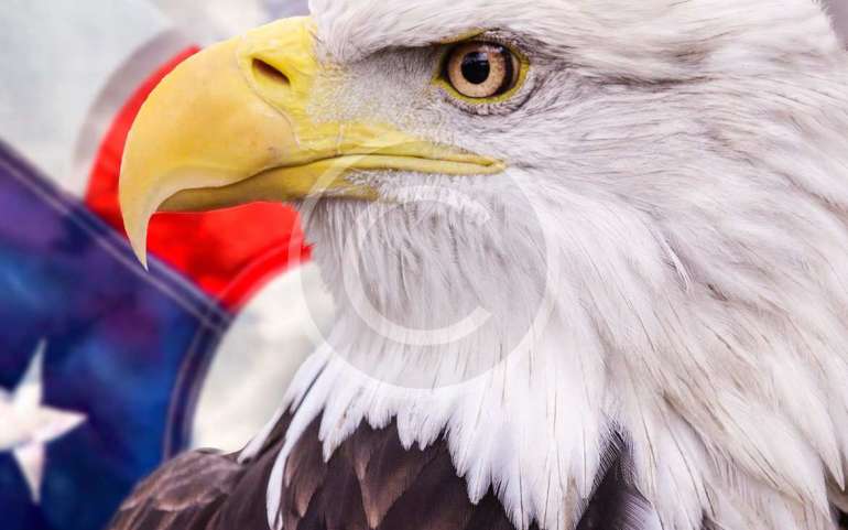 What Presidential Candidates Need.